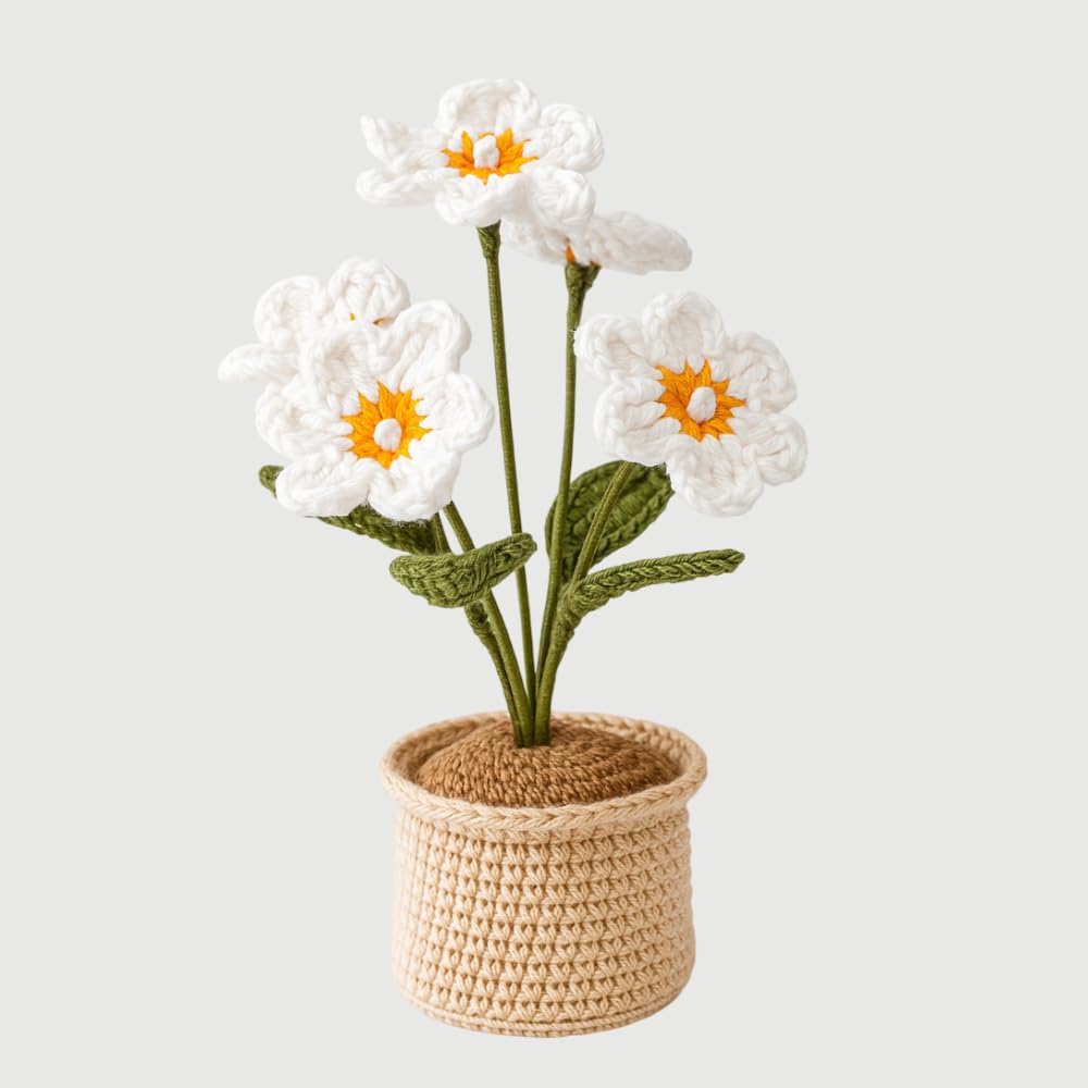 https://divashhandcrafts.in/storage/photos/1/Products/511YmGnHtlL._SL1000_.jpg